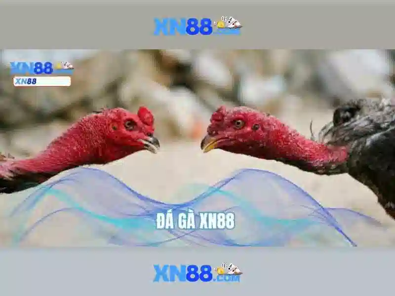 💎nhà cái uy tín vip đánh giá💎