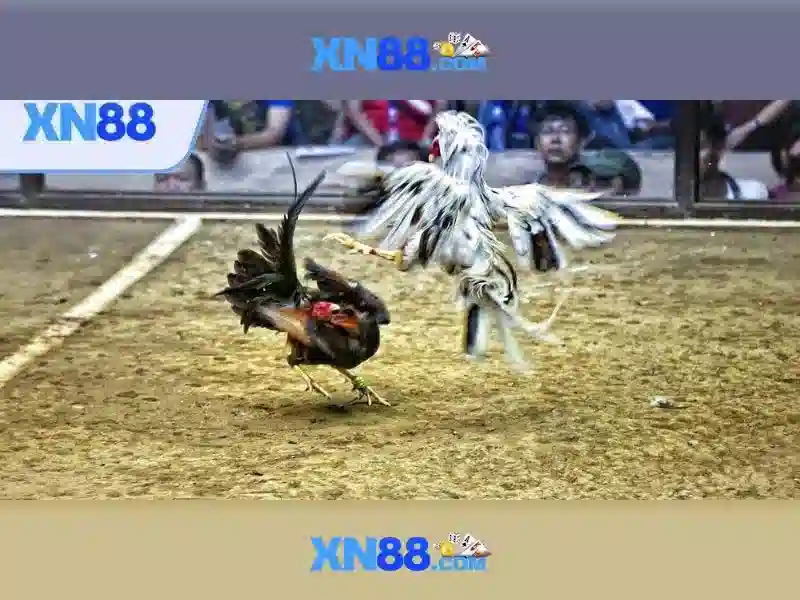 💎slots by netent💎