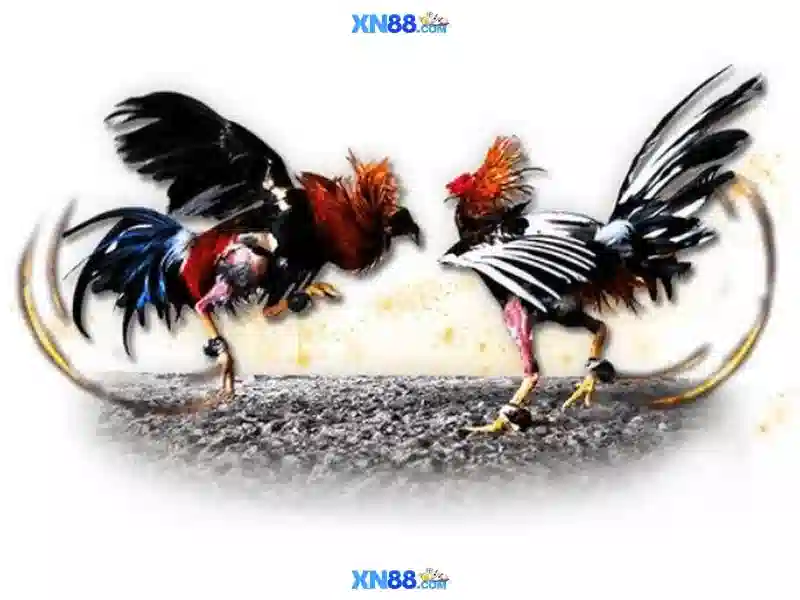 💎nhà cái e88 đăng nhập💎