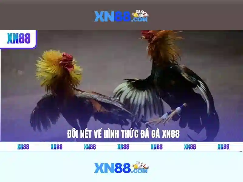 💎nhà xe hải duyên cai lậy💎
