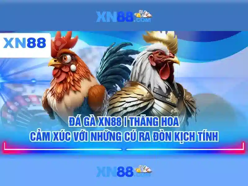 💎nhà cái số 1 falconbetpt💎