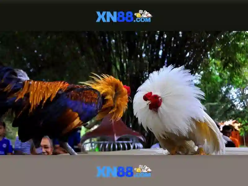 💎kèo nhà cái aff cúp💎