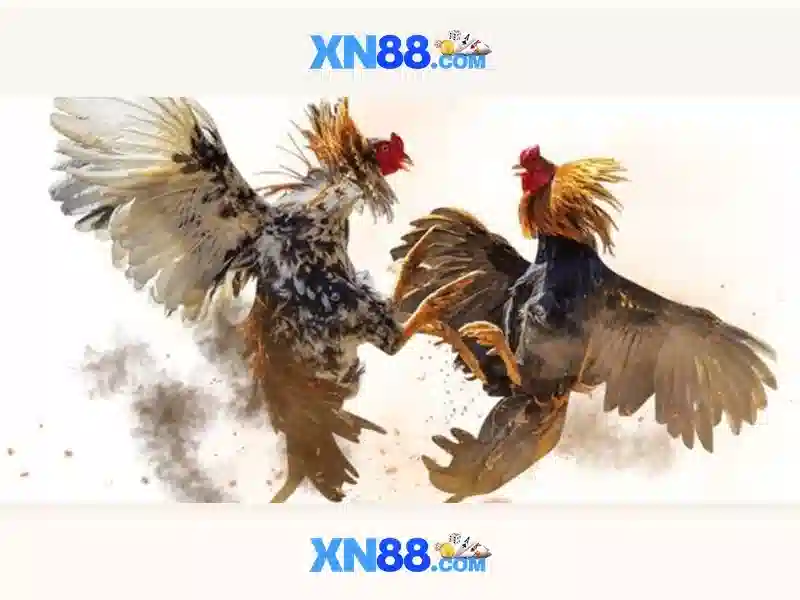 💎slot openen oud-alblas💎