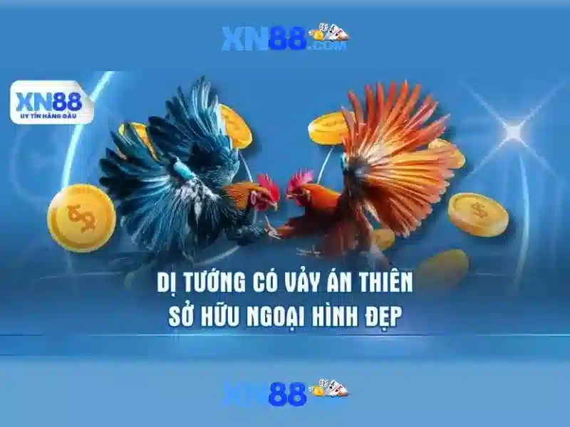 💎soi kèo nhà cái đức tây ban nha💎
