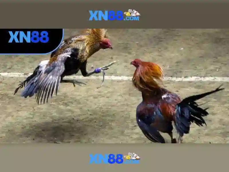 💎download game xn88💎