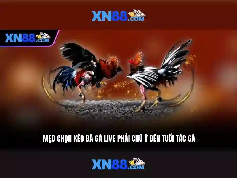 💎888 slot slot arteta💎