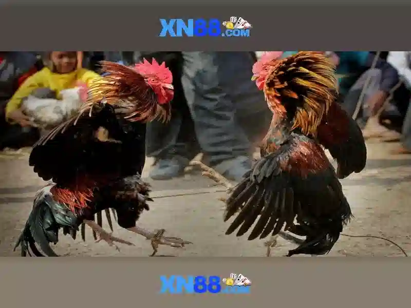 💎888 888slot login register💎