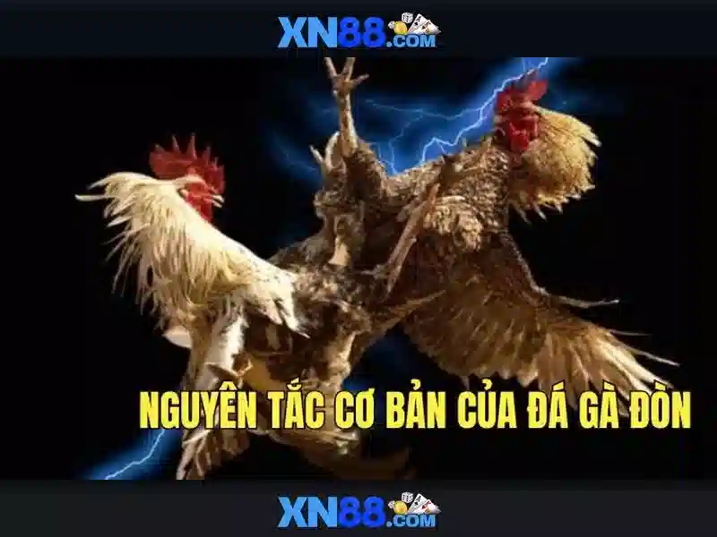 bắn cá đổi thưởng XN88 - XN88