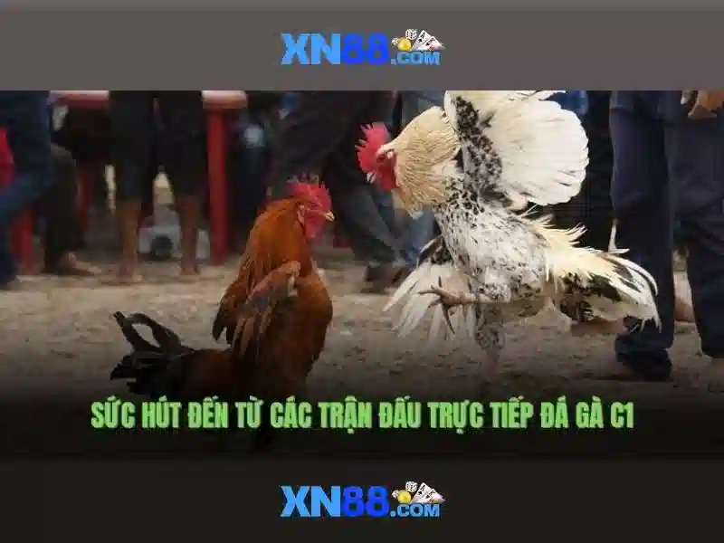 💎top nhà cái uy tín topnhacai.us💎