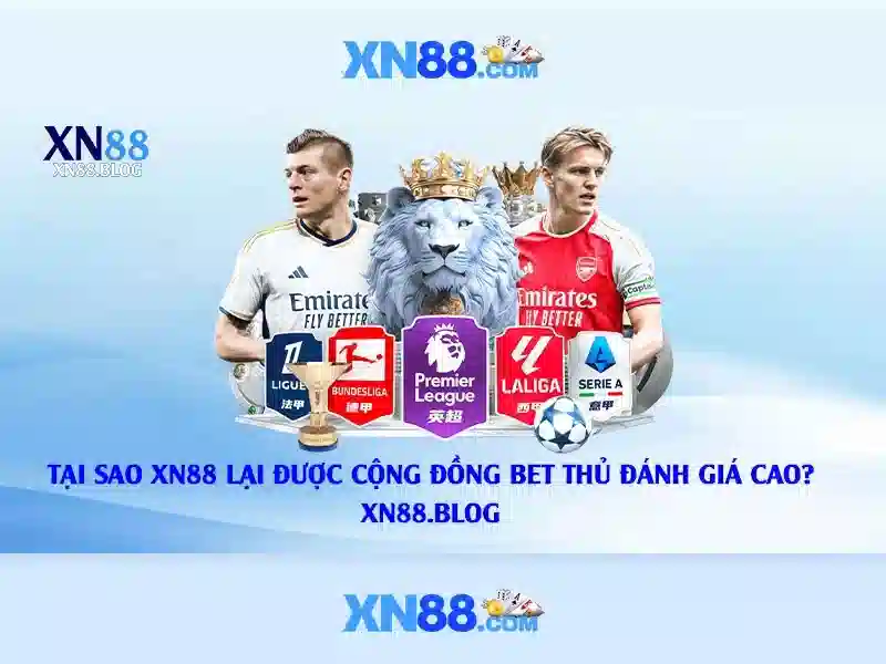 💎xn88 2025💎