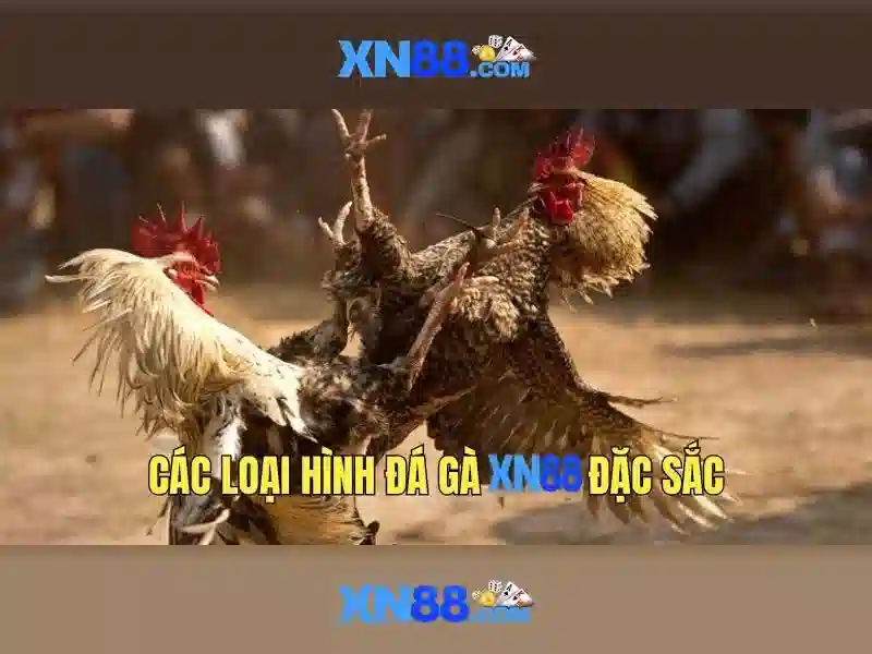 XN88 App – Ứng Dụng Slot Đỉnh Cao Cho Người Chơi Tận Hưởng Trải Nghiệm Đa Dạng - XN88