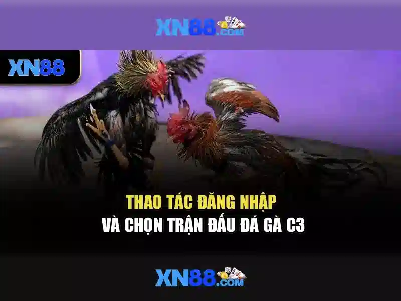 💎hb88 slot hair💎