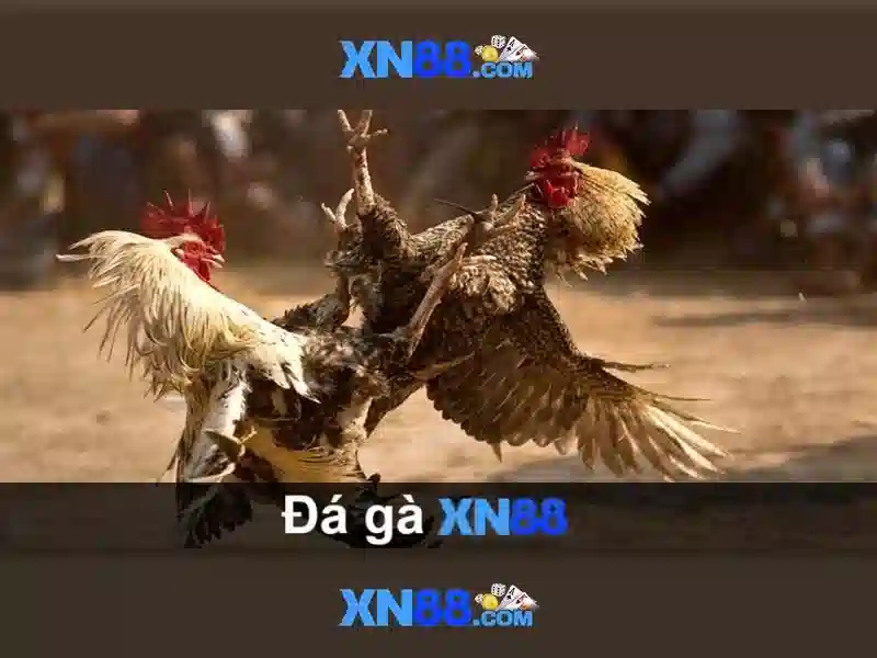 💎mã mời xn88💎