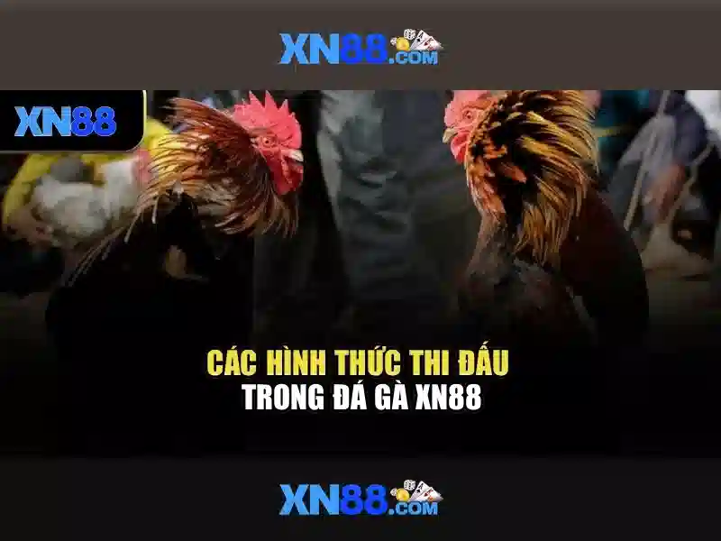 💎pulsa slot tanpa potongan💎
