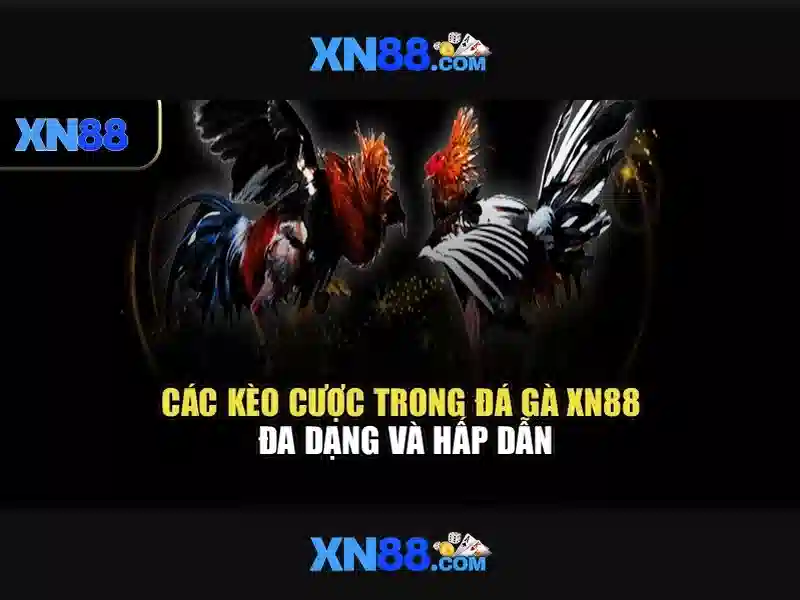 💎888 slot slot tactics fm24💎