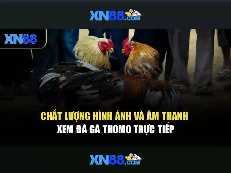 💎kk xn88💎