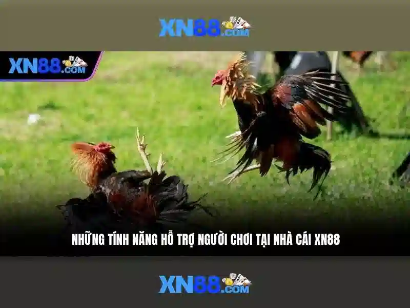 xn88: Đánh giá tổng quan về nền tảng cược trực tuyến an toàn và tin cậy