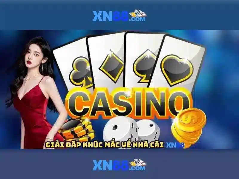 💎nhà cái qgwin💎