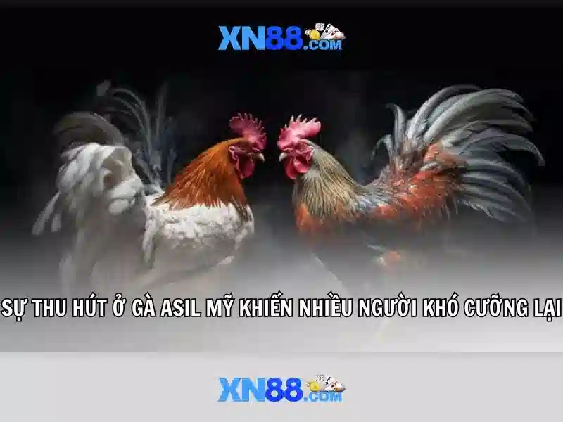 Chính Sách Bảo Mật - Bảo Vệ Người Chơi Tại XN88 Toàn Diện - XN88