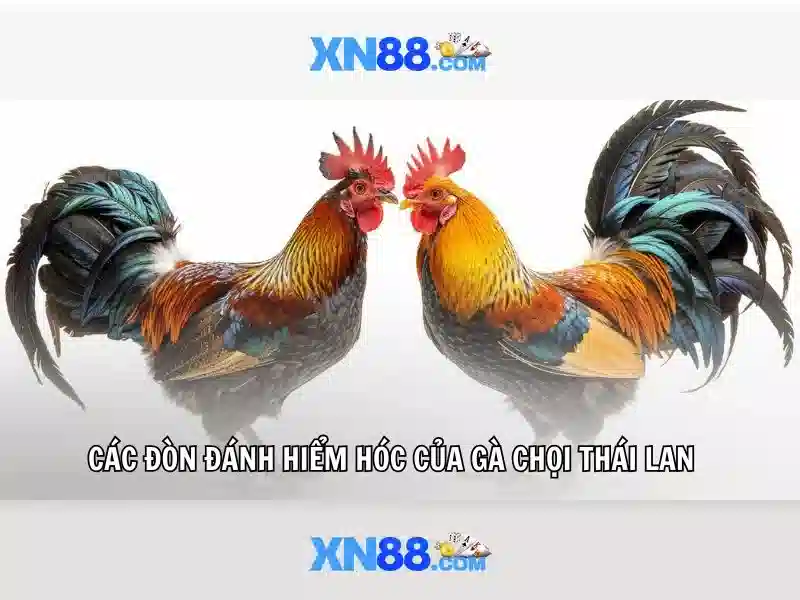 💎nhà xe hưng long hưng yên lào cai💎