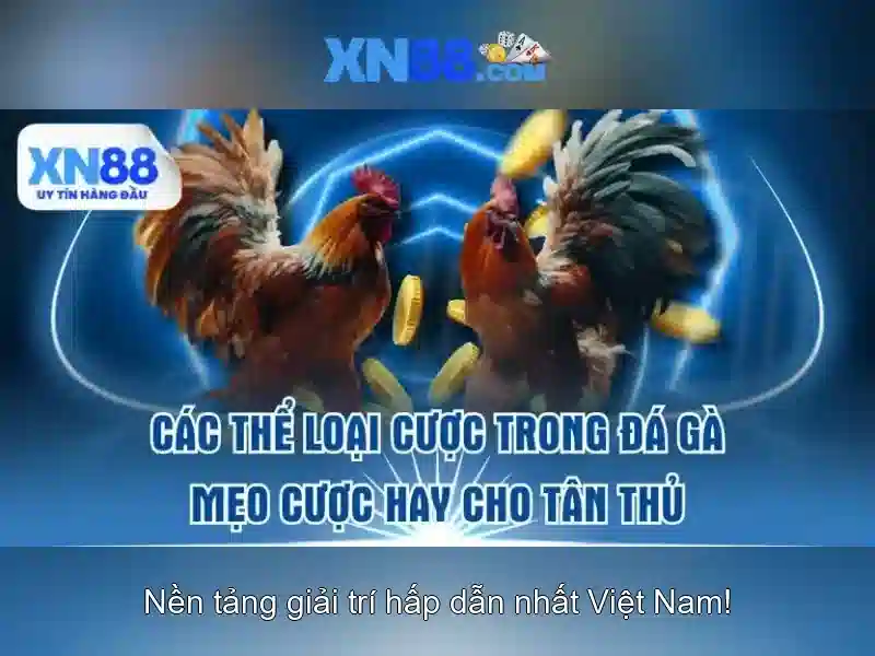 💎888slot slot on chelsea💎