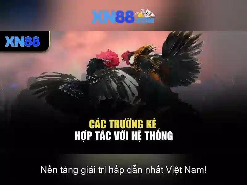 💎xn88 uy tín số 1💎