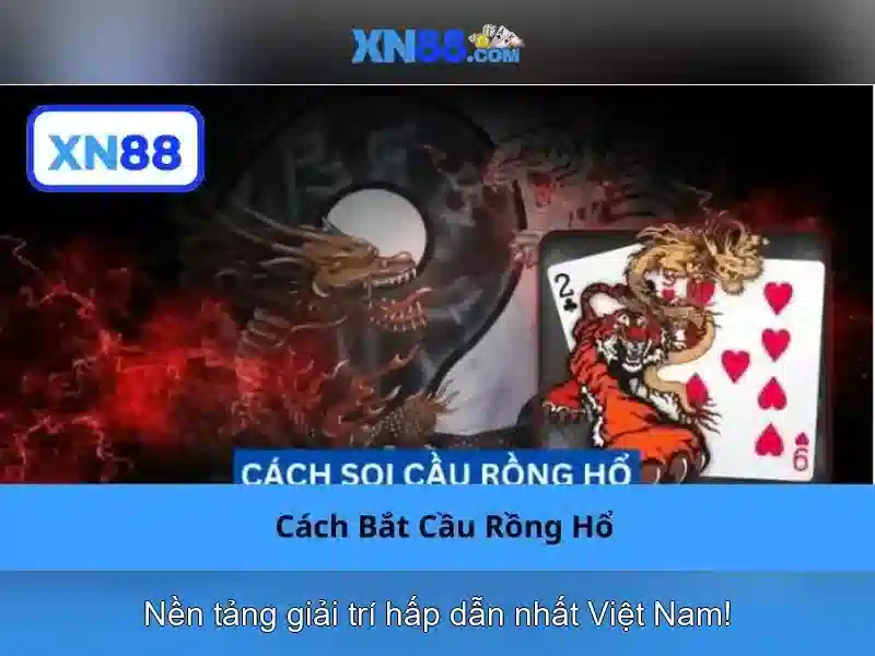 💎xn88.cm💎