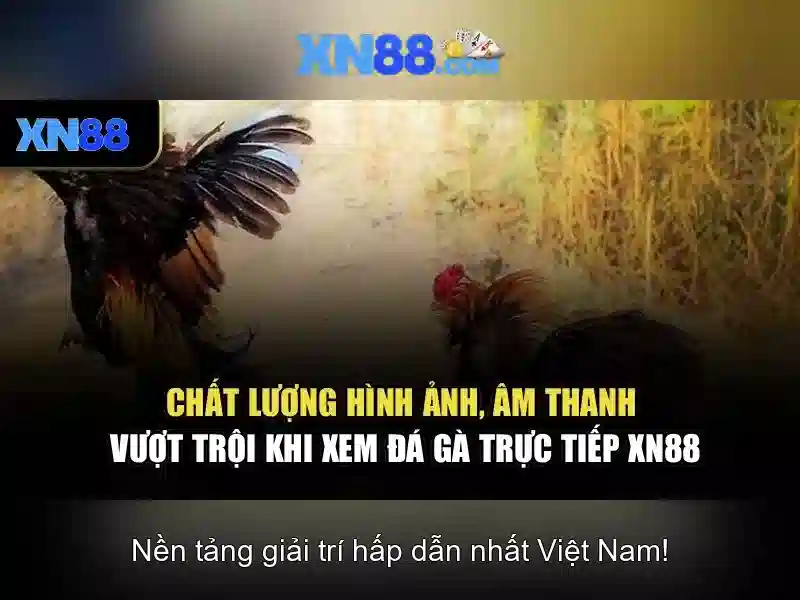💎xn88 lao💎