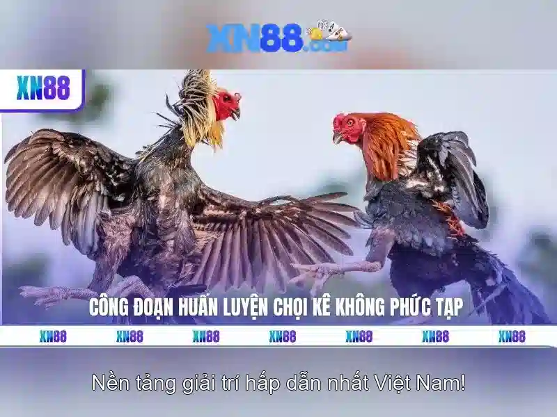 💎888 slot slot psg💎