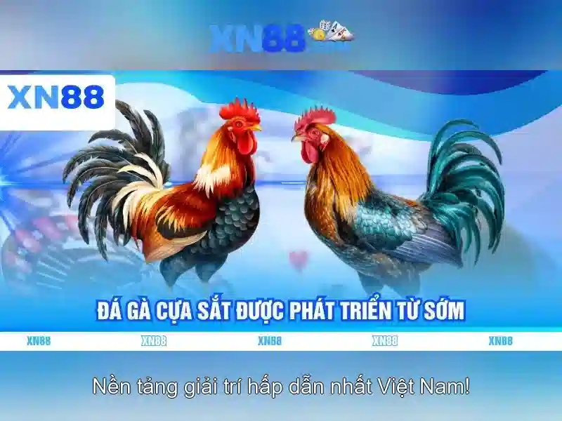 💎trial of phoenix hb88💎