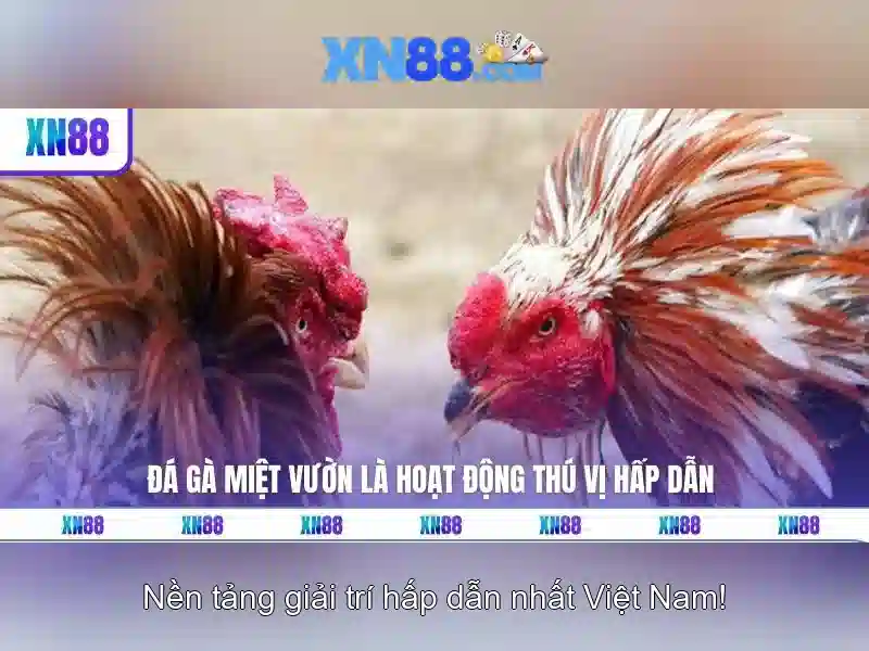 💎bing 888 slot💎