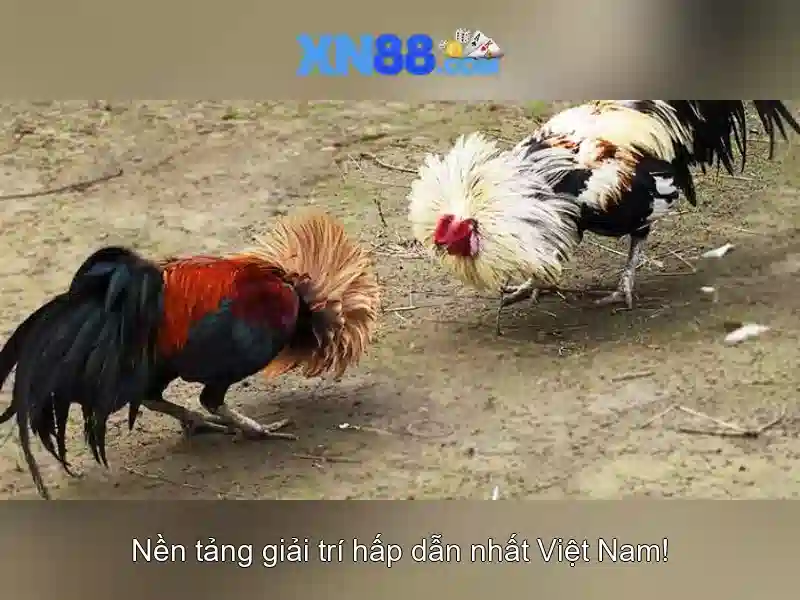 💎hb88 nổ hũ💎