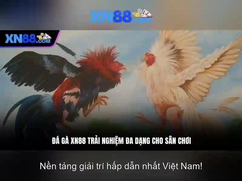 💎hb88 slot post match💎