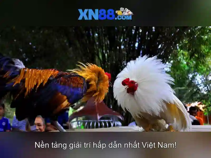 💎hb88 slot coaching career💎