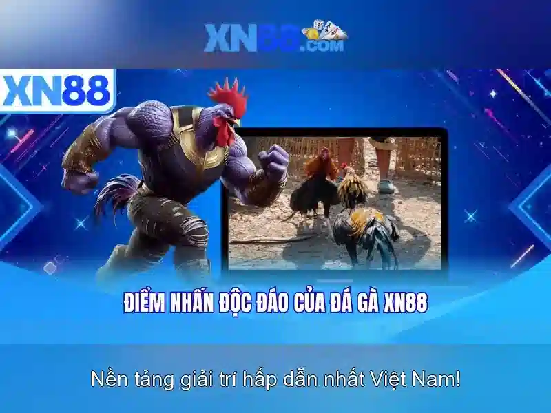 đọc cầu Slot chuẩn - XN88