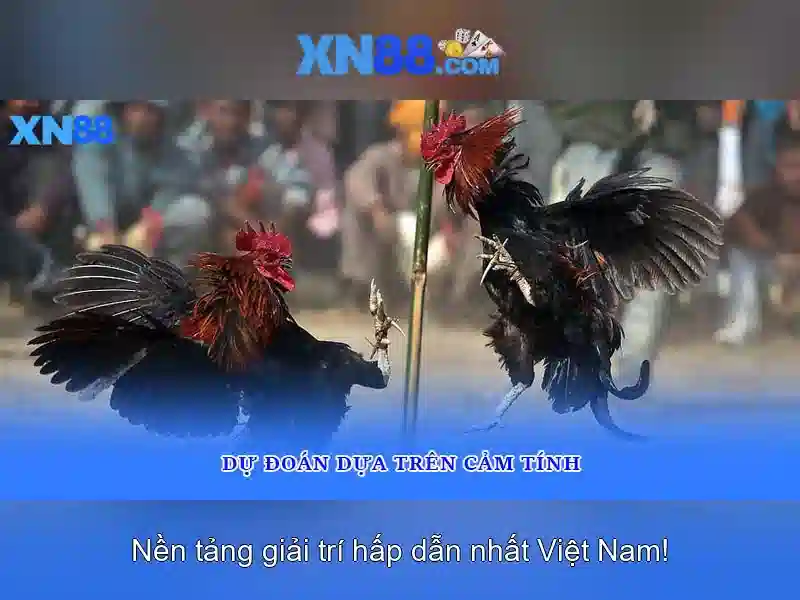 💎xn88 xn88 777win💎