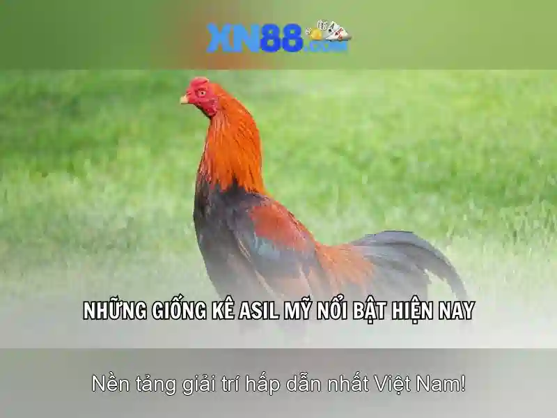 💎xn88 demo game💎