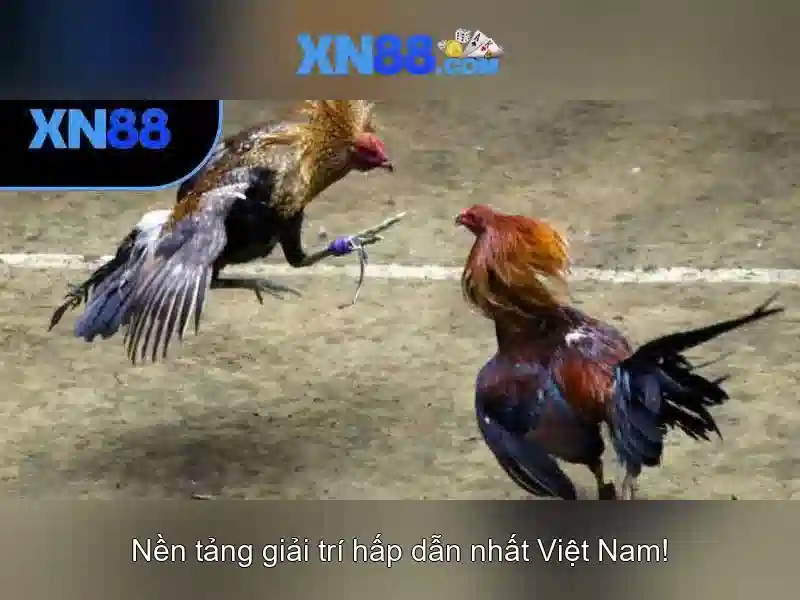 💎tie lệ kèo nhà cái💎