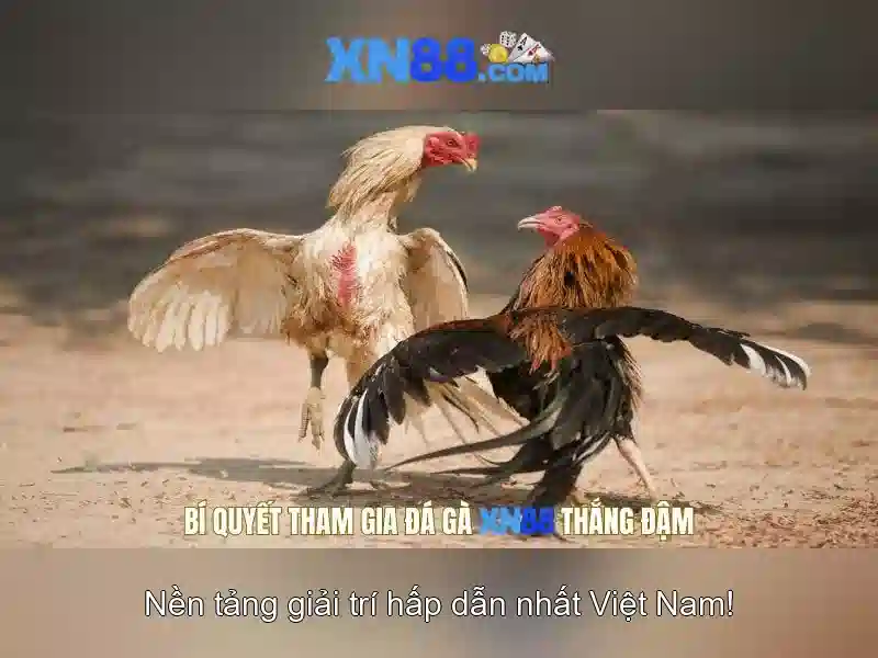 💎tại app 188v💎 - 188v tài app - 188v 188vv com vn