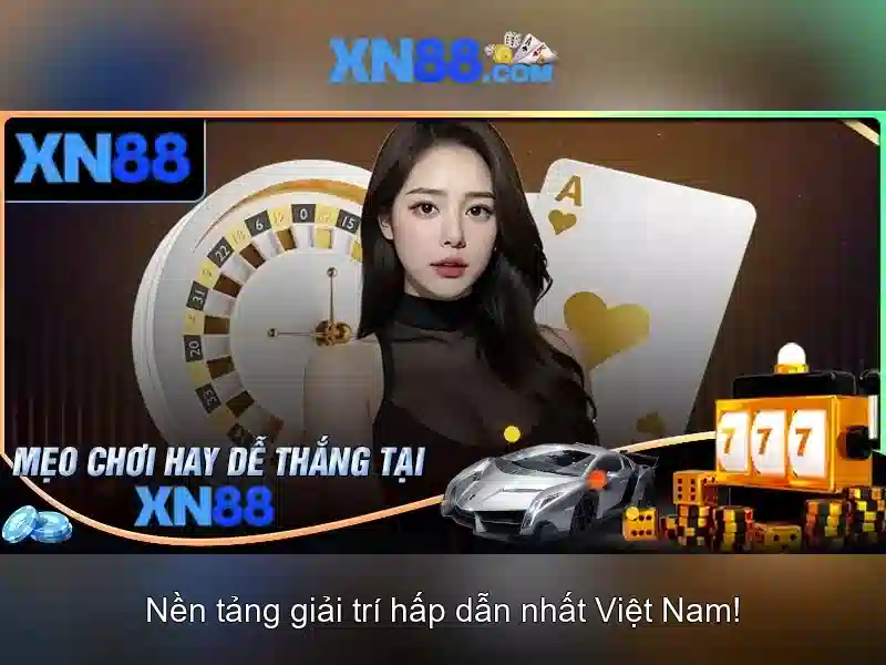 💎xn88 cat💎