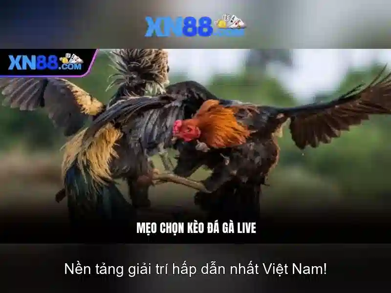 💎quyền vương 888 slot💎