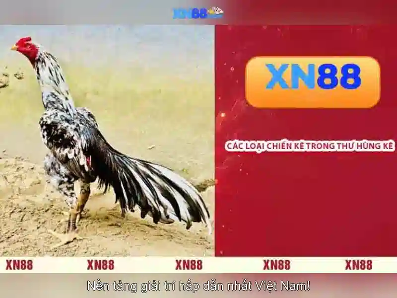 💎slot jili 888slot💎