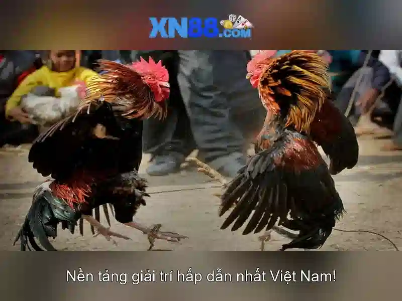 💎888 slot android💎