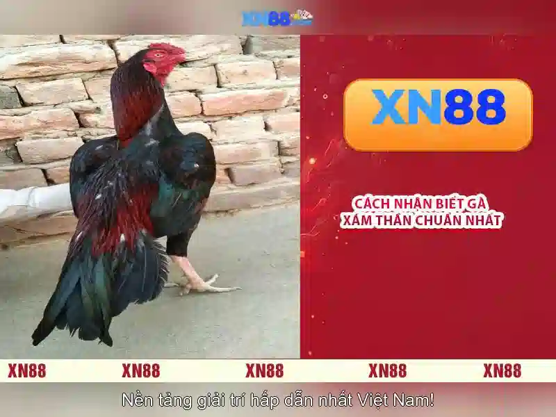 💎link tải 888slot💎