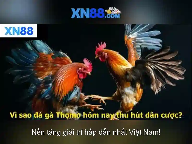 💎555win 500💎 - 555win net - tài app 555win