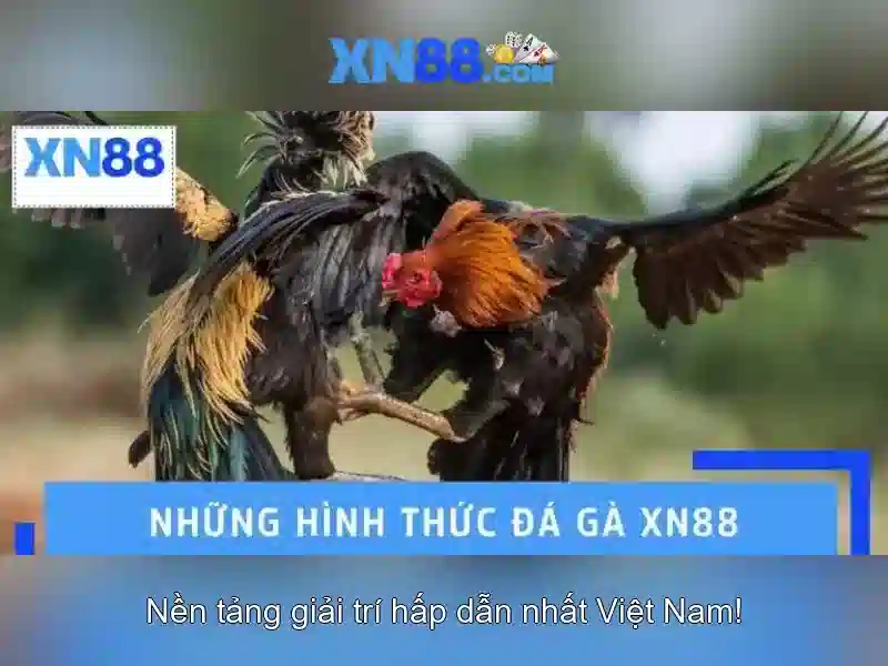 💎hướng dẫn 188v💎 - 188v nohu - đánh giá 188v