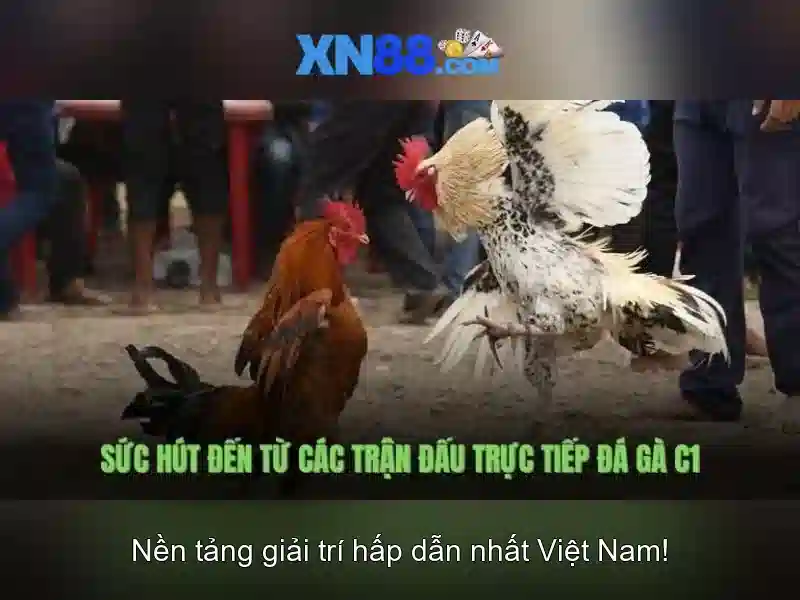 💎hb88 đang nhap💎 - hb88 hb88 host - tải hb88 apk