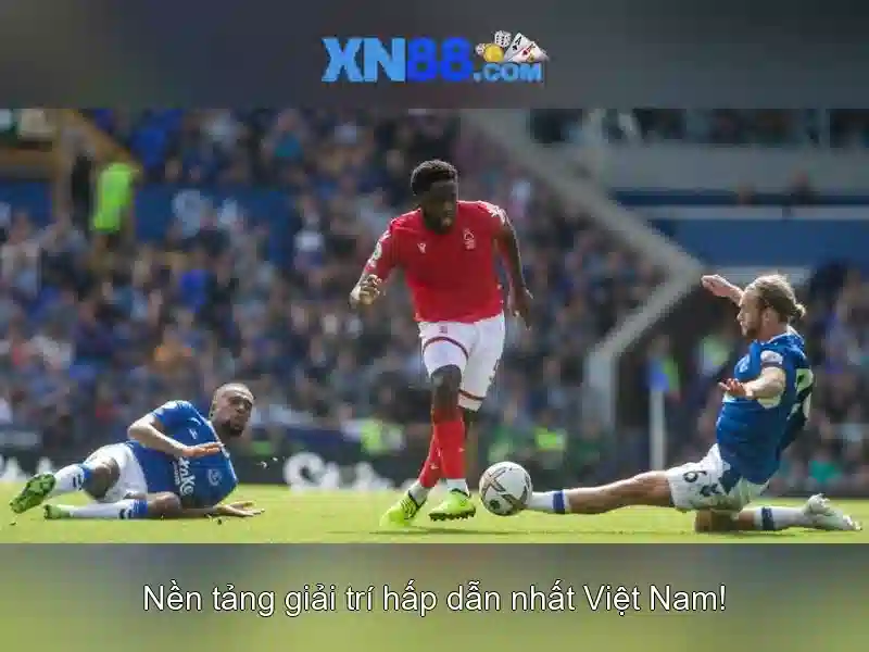 💎keo nhà cái de💎