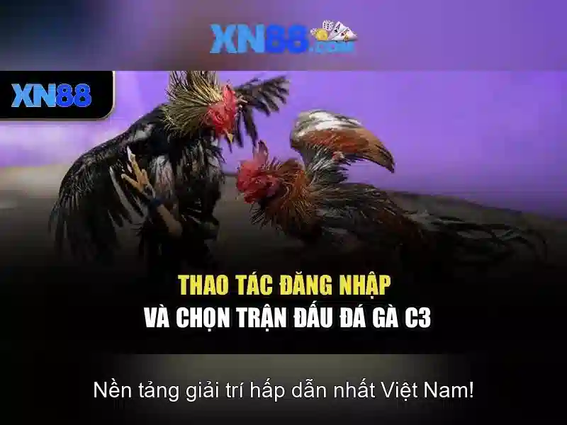 💎soi kèo chuẩn nhận định kèo nhà cái💎