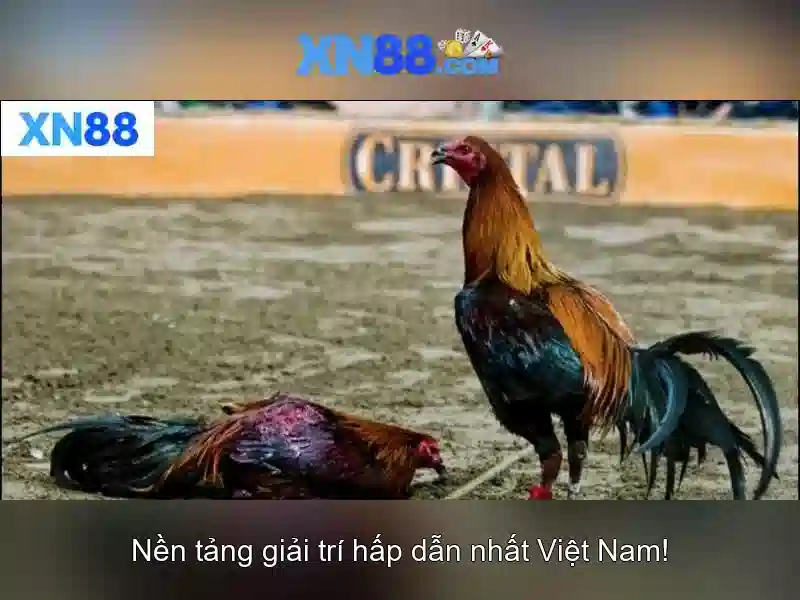 💎888slot 999ph.com💎